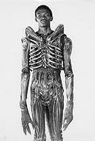 Photo of Bolaji Badejo