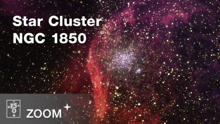 A journey to NGC 1850