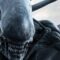 Alien: Covenant (2017)