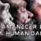 ¿Cómo apareció el ser humano? Enigmas y Misterios