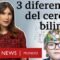 Cómo cambia tu cerebro al hablar varios idiomas | BBC Mundo