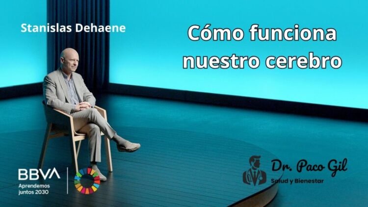 Cómo funciona nuestro cerebro