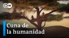 ¿Cómo surgió el ser humano? | DW Documental