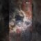 Descubre la Magia de la Nebulosa de la Tarántula en Halloween