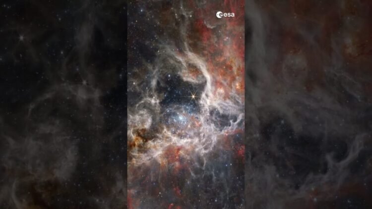 Descubre la Magia de la Nebulosa de la Tarántula en Halloween