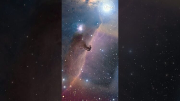 Descubriendo la Espectacular Belleza de la Nebulosa Cabeza de Caballo