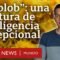 El “blob”, la extraordinaria criatura que cuestiona si somos la especie más inteligente