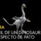 El fósil de un dinosaurio con aspecto de pato | CIENCIA | NATIONAL GEOGRAPHIC ESPAÑA