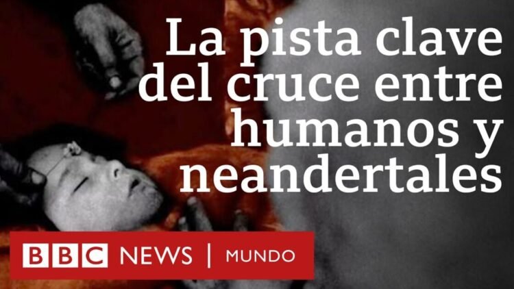 El niño de Lapedo, el esqueleto que refuerza la teoría de que neandertales y humanos se apareaban