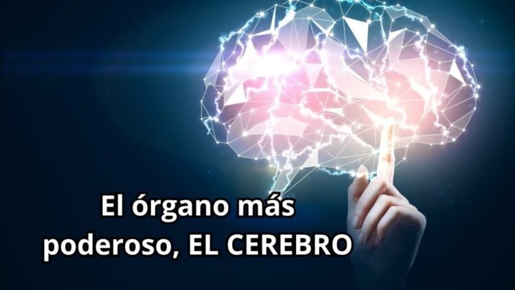 El Poder del Cerebro: ¿Qué Tan Poderoso es?