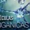 Esto es lo que necesitas saber sobre moléculas orgánicas.