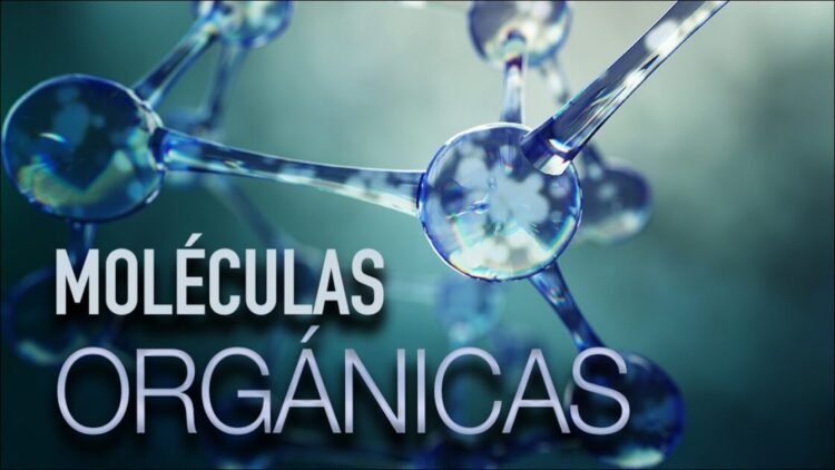 Esto es lo que necesitas saber sobre moléculas orgánicas.