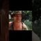 Explorando la legendaria saga de Indiana Jones