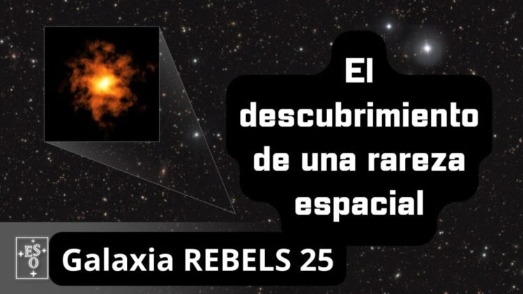 Galaxia REBELS 25, el descubrimiento de una rareza espacial