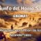 Homo Sapiens: La misteriosa extinción de los Neandertales
