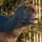 ‘Koleken’, el feroz cazador que reescribe la historia de los últimos dinosaurios