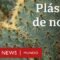 La mexicana que hace plástico biodegradable con hojas de nopal