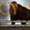 La misteriosa extinción de los últimos mamuts lanudos