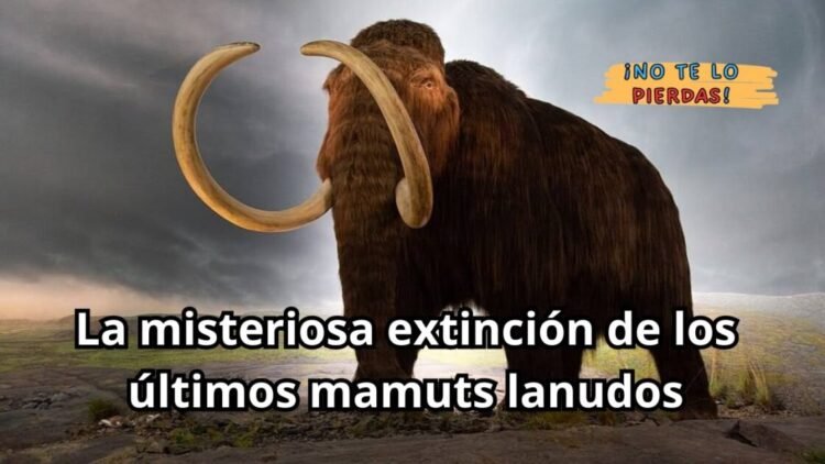 La misteriosa extinción de los últimos mamuts lanudos