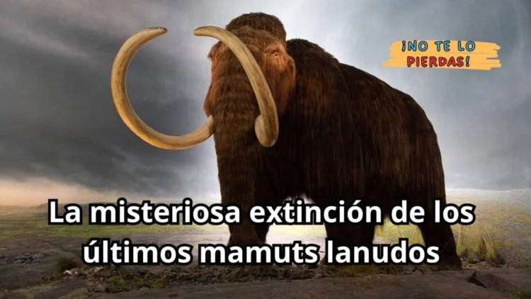 La misteriosa extinción de los últimos mamuts lanudos