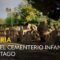 Lo que nos dice un cementerio infantil sobre Cartago | HISTORIA | NATIONAL GEOGRAPHIC ESPAÑA