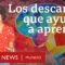 Los pequeños descansos que ayudan al cerebro a aprender cosas nuevas