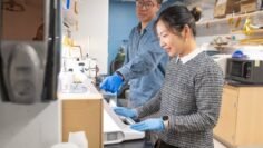 Microrobots para administrar medicamentos de manera precisa