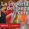 Por qué son tan importantes los microbios del intestino, al que llaman “segundo cerebro”