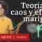 Qué son la teoría del caos y el efecto mariposa y cómo nos ayudan a entender mejor el universo