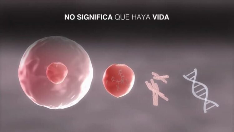 ¿Quieres dominar las moléculas orgánicas? ¡Mira esto ahora!