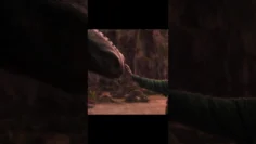 Secretos revelados: Cómo entrenar a tu dragón como nunca antes