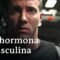 Testosterona: La fuerza motriz de los hombres