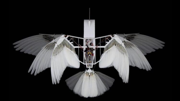Un robot con plumas que vuela como un pájaro