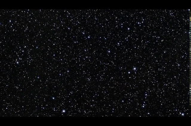 Zooming in on AT2019qiz