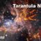 Zooming-in on the Tarantula Nebula with radio wavelengths